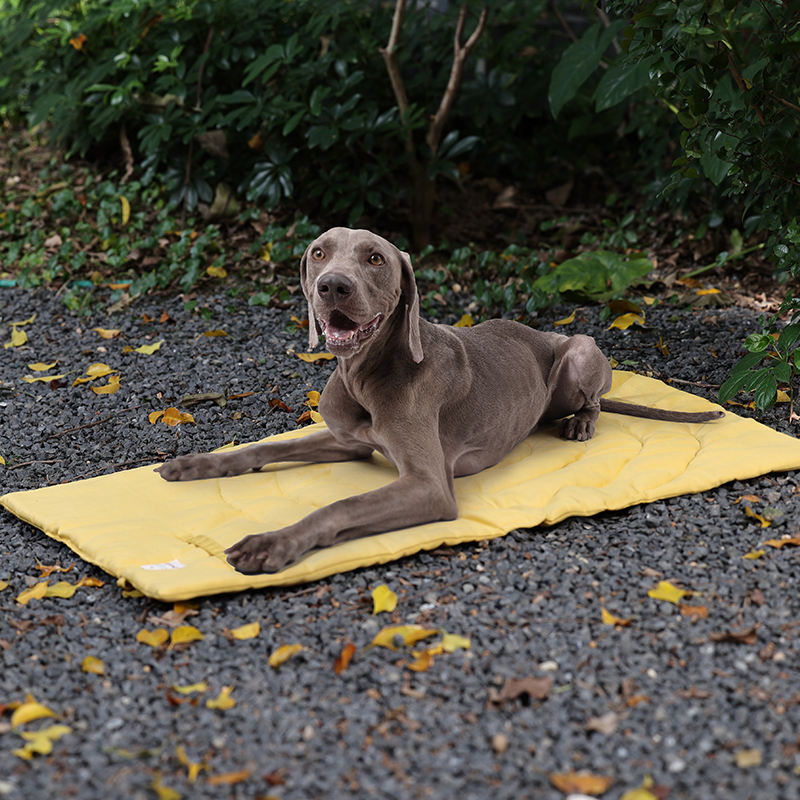 Portable Pet Mat Foldable Pet  - Outdoor Rug Waterproof ulasan dan harga